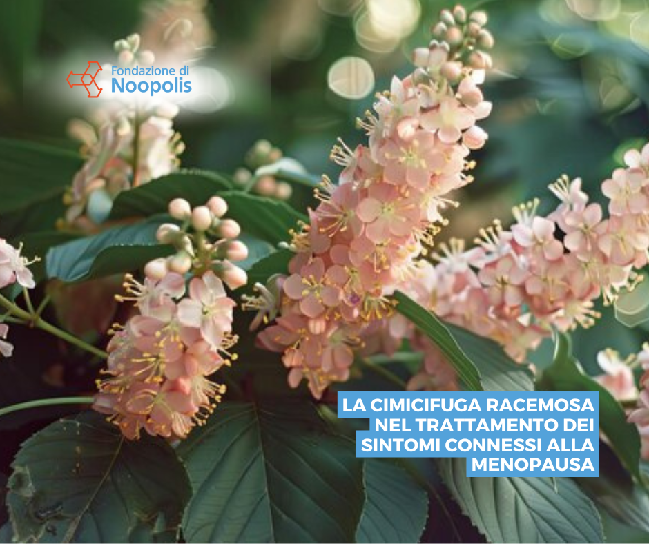 LA CIMICIFUGA RACEMOSA NEL TRATTAMENTO DEI SINTOMI CONNESSI ALLA&nbsp;MENOPAUSA